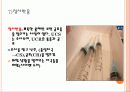 학습 고전적 조건 형성 조작적 조건 형성 60페이지