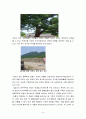 충남 아산 외암마을 답사 보고서 8페이지