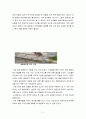 충남 아산 외암마을 답사 보고서 11페이지