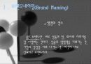 브랜드와네이밍 3페이지