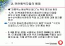 쇠고기 협상의 문제점 18페이지