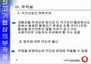 쇠고기 협상의 문제점 23페이지
