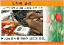 mindstorm을 이용한 비행기  게임기 제작 19페이지