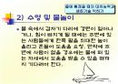 스포츠 안전(ppt) 14페이지