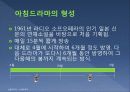 일본문화 - 드라마의 모든 것 65페이지
