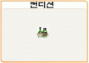 컨디션 마케팅분석 1페이지