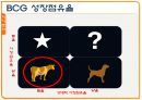 컨디션 마케팅분석 7페이지