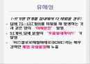 모기향의 유해성 3페이지