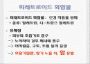 모기향의 유해성 6페이지