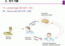 [심리학] 정서이론 8페이지