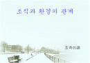 조직과 환경의 관계 분석  1페이지