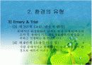 조직과 환경의 관계 분석  10페이지