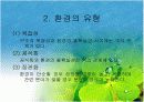 조직과 환경의 관계 분석  12페이지