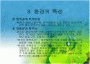 조직과 환경의 관계 분석  16페이지