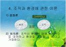조직과 환경의 관계 분석  17페이지