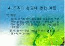 조직과 환경의 관계 분석  20페이지