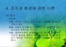 조직과 환경의 관계 분석  22페이지