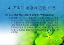 조직과 환경의 관계 분석  23페이지