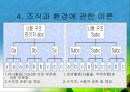 조직과 환경의 관계 분석  24페이지