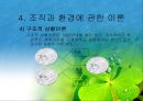 조직과 환경의 관계 분석  26페이지