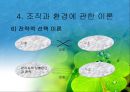 조직과 환경의 관계 분석  29페이지
