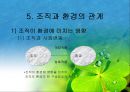 조직과 환경의 관계 분석  32페이지