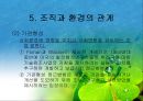 조직과 환경의 관계 분석  34페이지