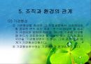 조직과 환경의 관계 분석  35페이지