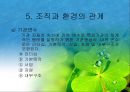 조직과 환경의 관계 분석  36페이지