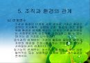 조직과 환경의 관계 분석  37페이지