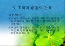 조직과 환경의 관계 분석  38페이지
