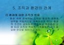 조직과 환경의 관계 분석  39페이지