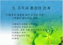 조직과 환경의 관계 분석  40페이지