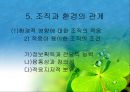 조직과 환경의 관계 분석  41페이지