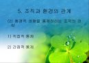 조직과 환경의 관계 분석  42페이지