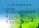 조직과 환경의 관계 분석  43페이지