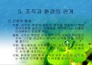 조직과 환경의 관계 분석  44페이지