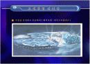 인간경영 리더십(타인경영,조직경영,자기경영) 29페이지