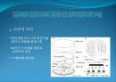 공학입문설계강의의 핸드폰 진동 특허 및 개념설계 자료 4페이지