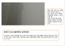 [건축/환경]초고층 아파트 대안인가 재앙인가? (초고층아파트의 현실과 미래) 23페이지
