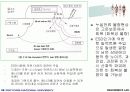 전기 전자 산업에 있어서의 ESD문제 14페이지