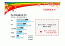 미닛메이드의 마케팅전략 성공사례 6페이지