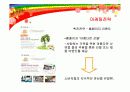 미닛메이드의 마케팅전략 성공사례 22페이지