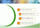 한반도 대운하의 긍정적, 부정적 측면과 추진동향 7페이지