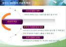 한반도 대운하의 긍정적, 부정적 측면과 추진동향 28페이지