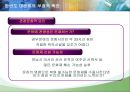 한반도 대운하의 긍정적, 부정적 측면과 추진동향 29페이지