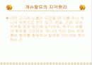 게슈탈트 심리학과 광고 7페이지