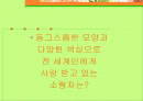 뉴비틀과 마티즈 광고 ROI 및 마케팅 포지셔닝 분석 2페이지