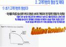 시장형성 및 제품확산 전략 13페이지