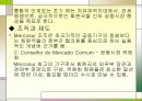  경제공동체  36페이지